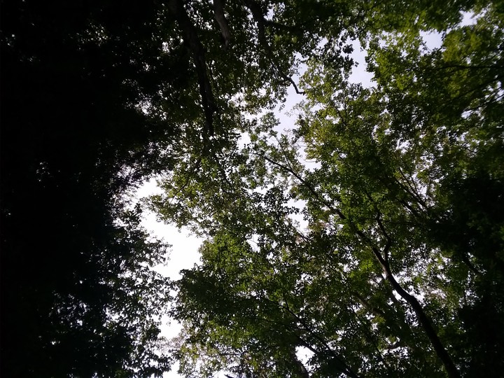 look up