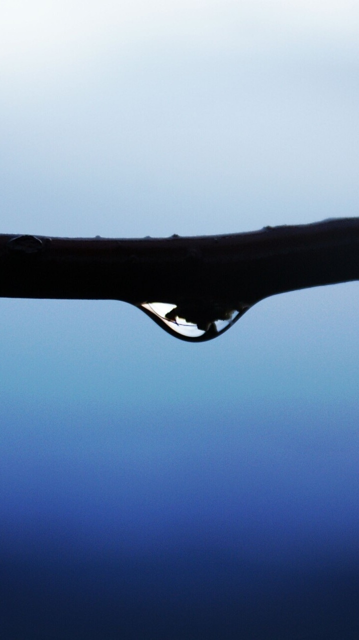 raindrop..