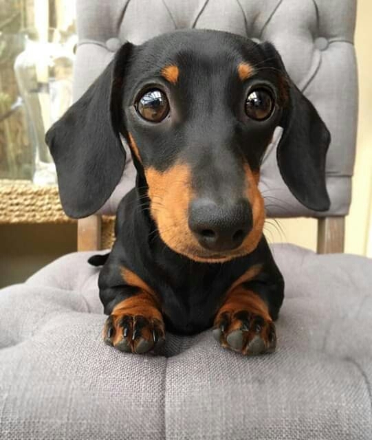 ❤