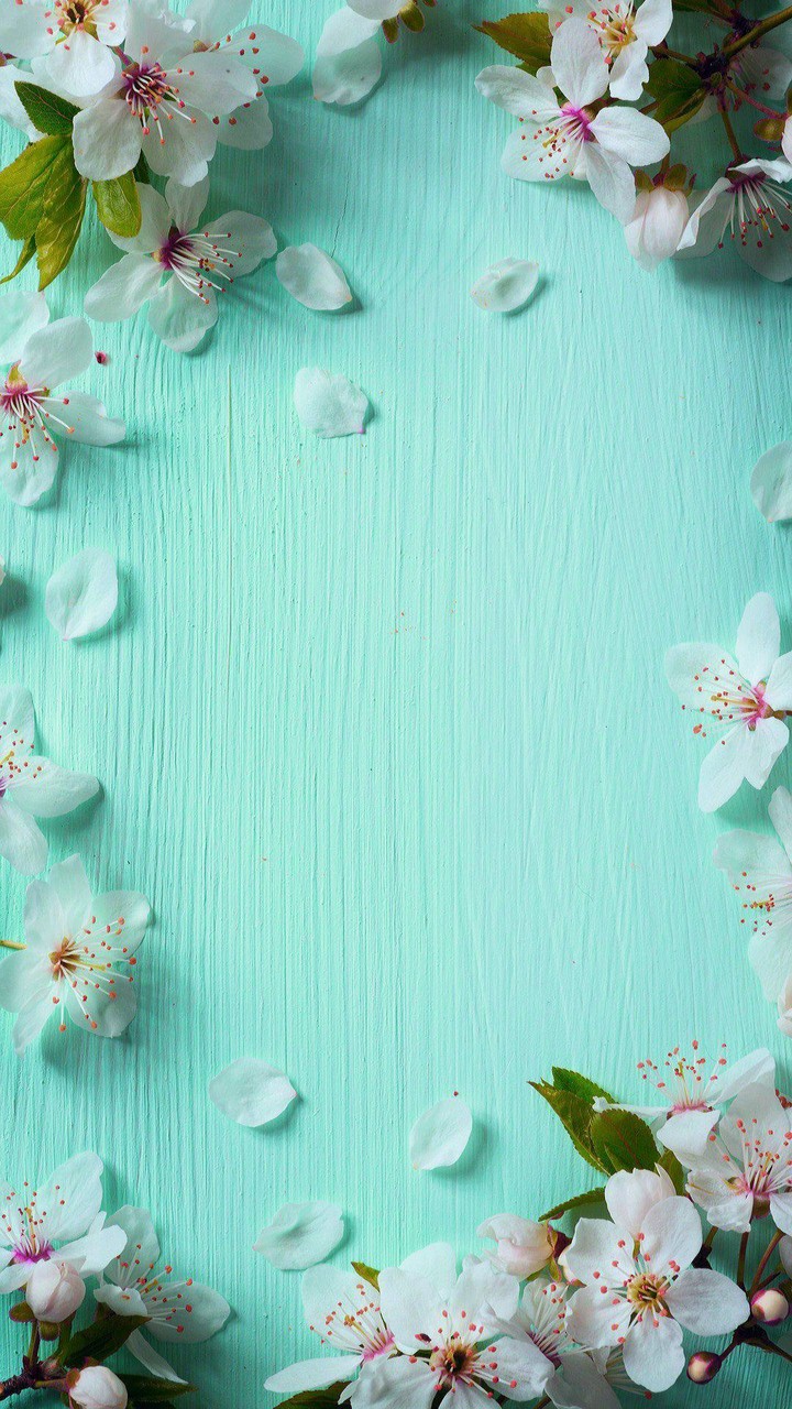 Seagreen