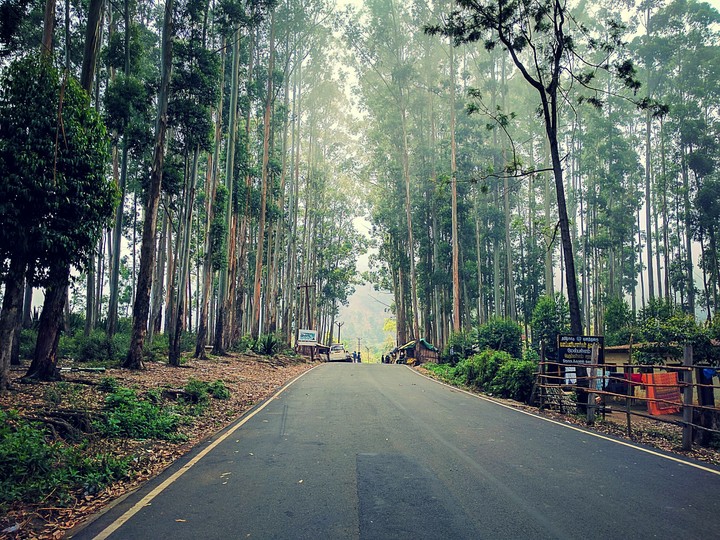 Road to heaven!