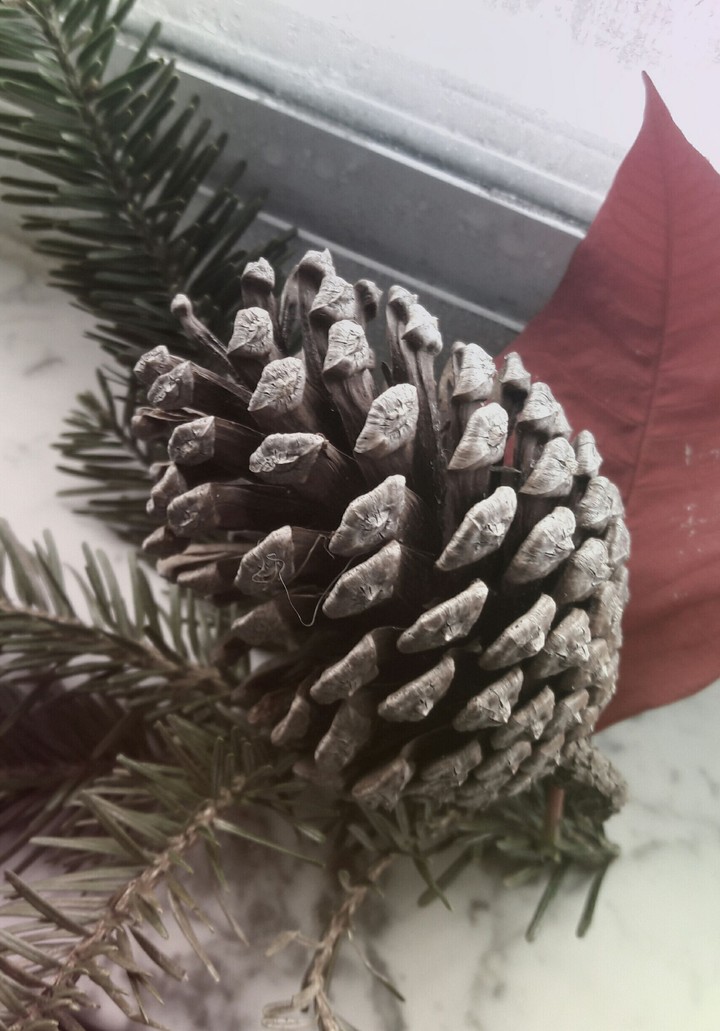 hola!! navidad