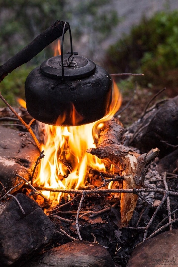 Camping in the forest
