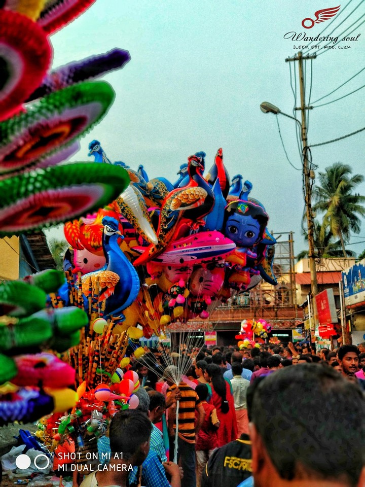 kalpathi chariot festival