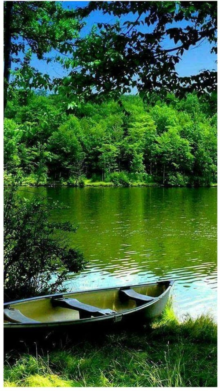green....