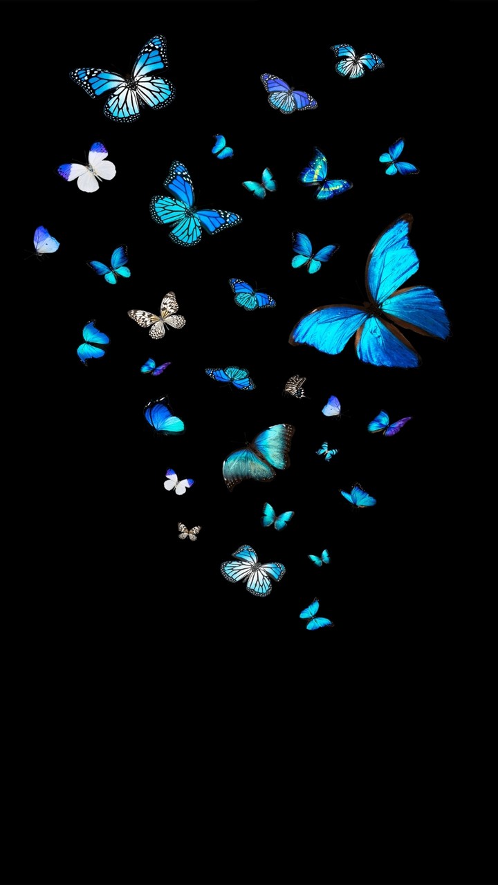 Easy Butterflys