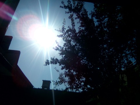 Sunshine
