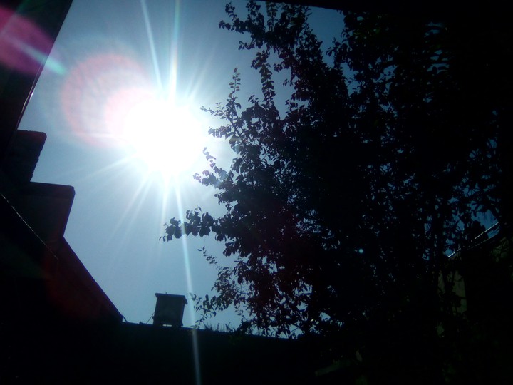 Sunshine