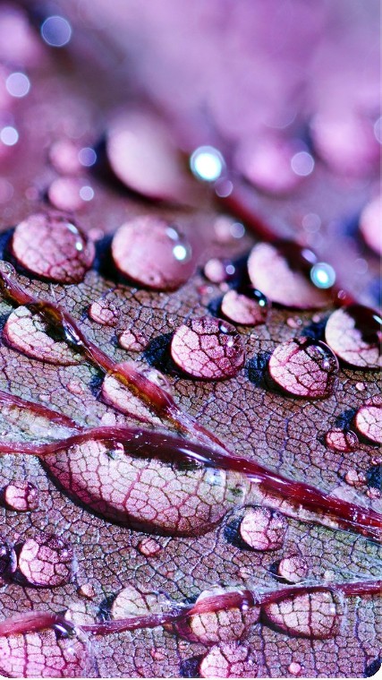 Printed Waterdrops