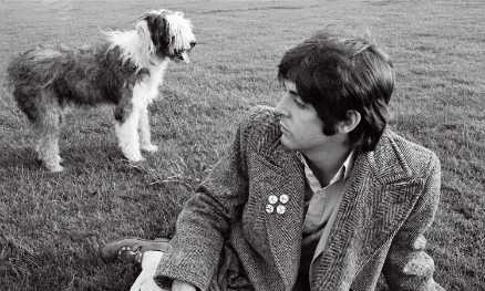 Dog Song