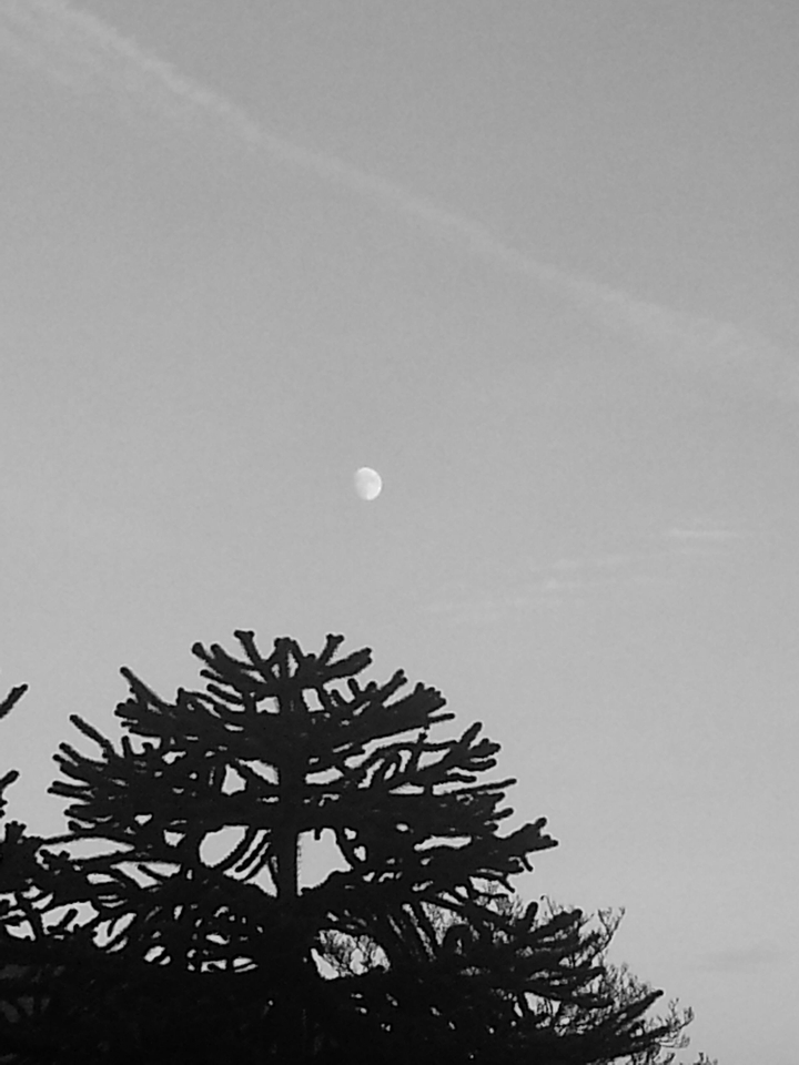 Moon