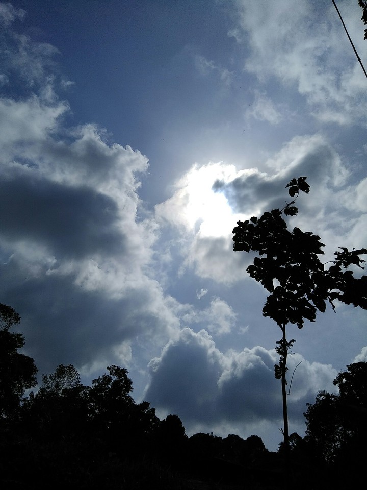 Sky