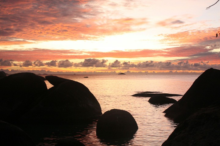 nature