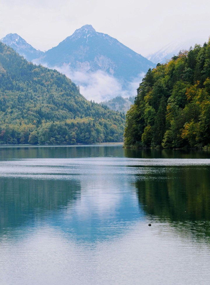 Mountain