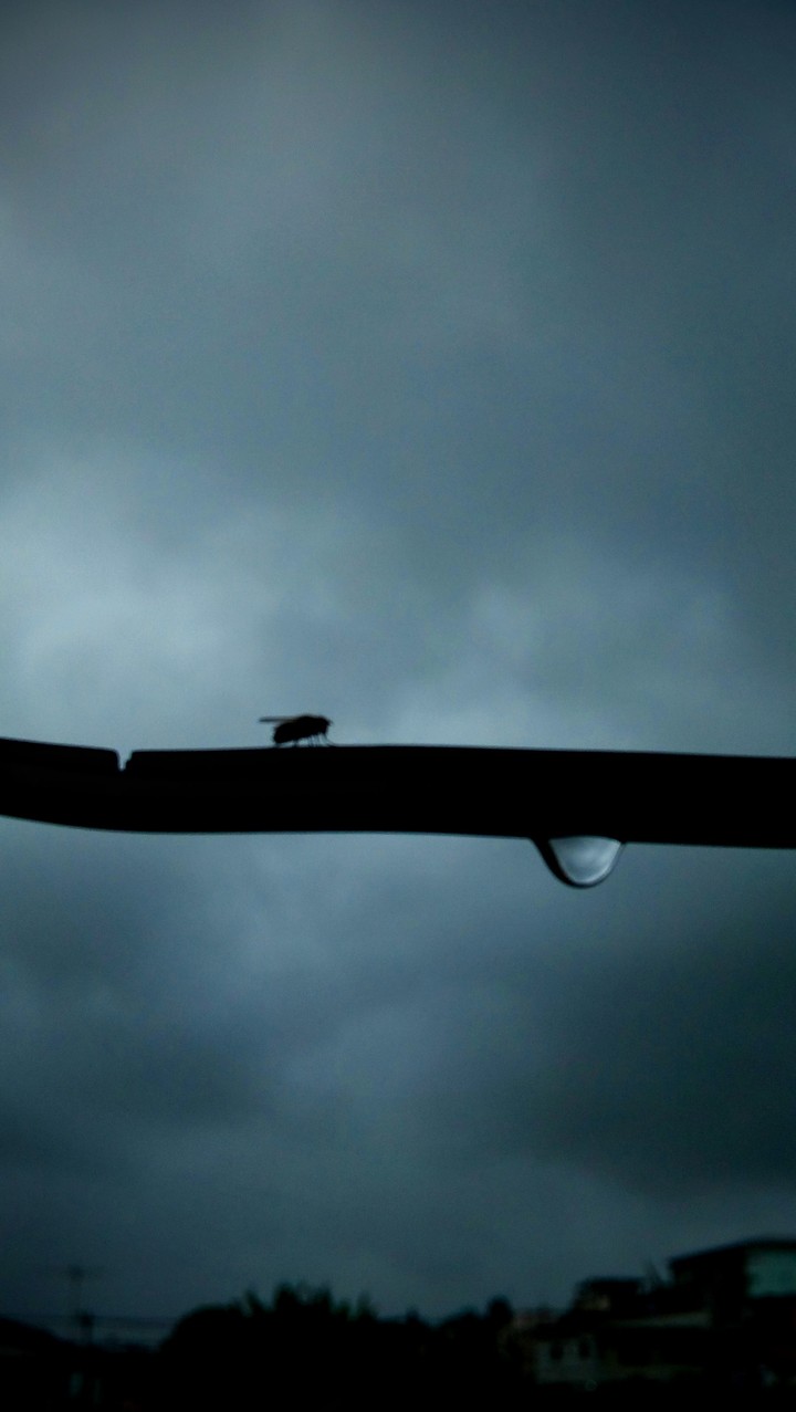 rain