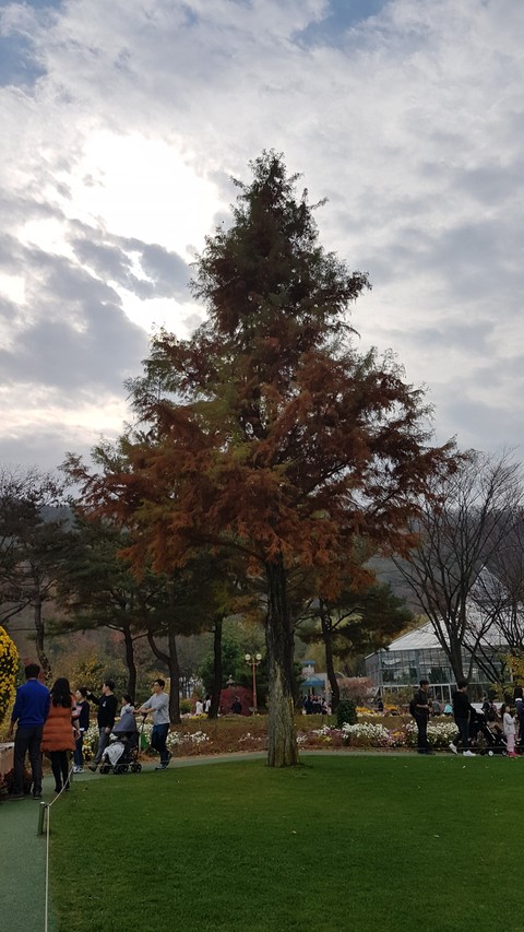 A Tree