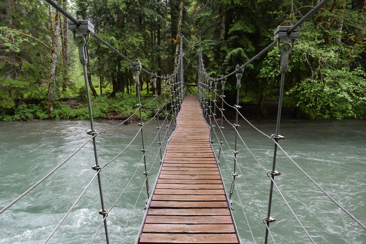 Bridge in the Wilderness