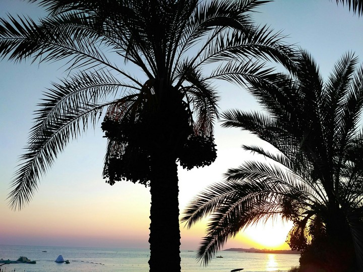 Alanya