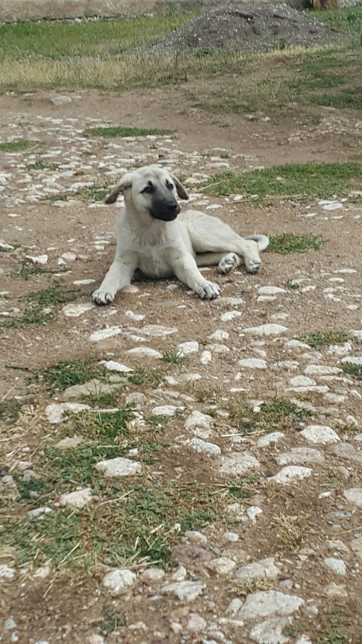 ?