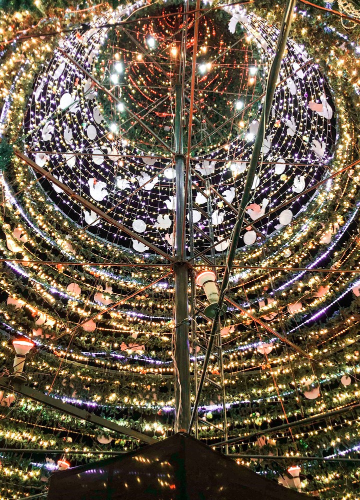 Endless Lights