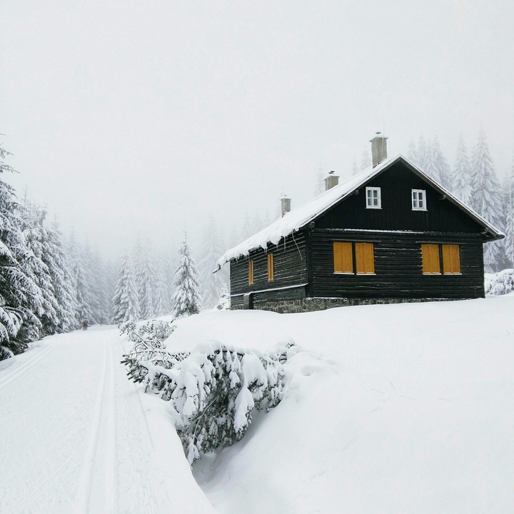 winter