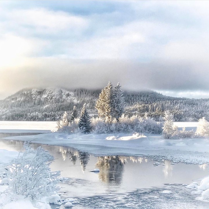 Frost