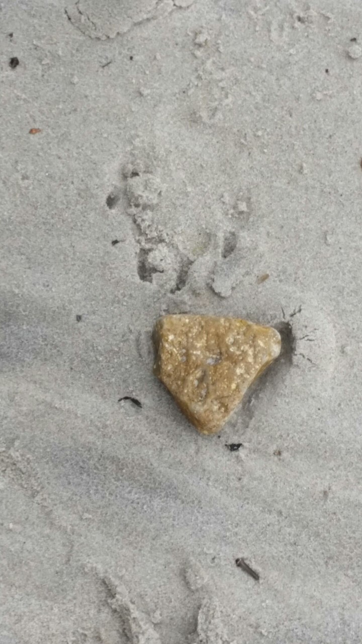 gold stone