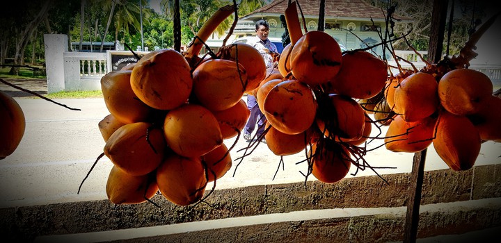 Sri lankan  king coconut