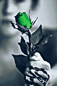 Flor