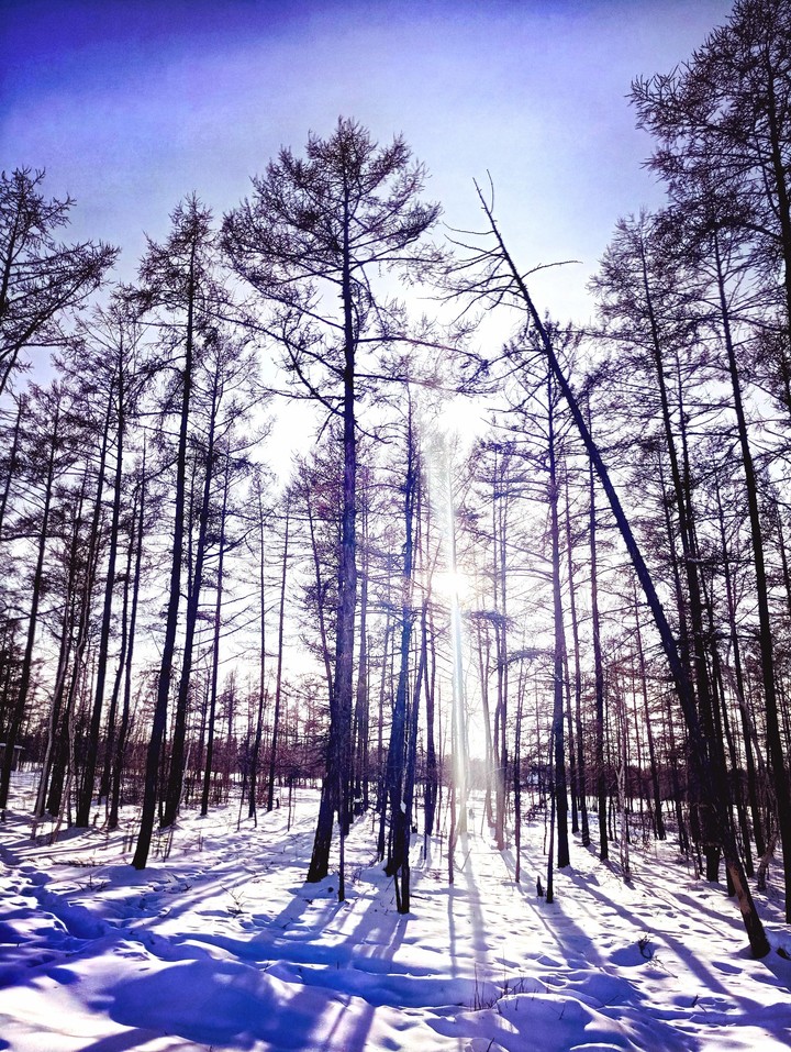 Spring in Yakutia 3