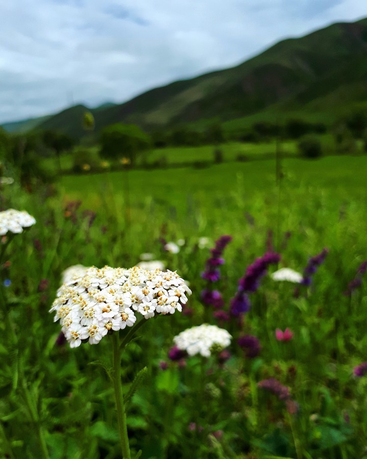 doğa