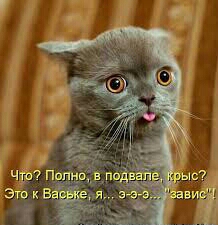 Я такая-же. Да да
