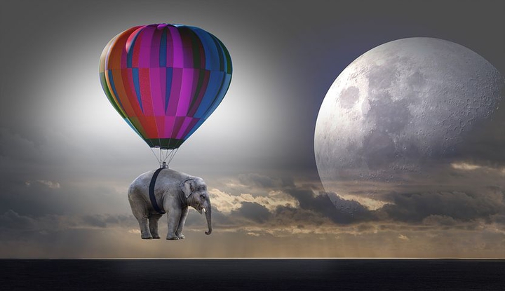 Elephant & Balloon