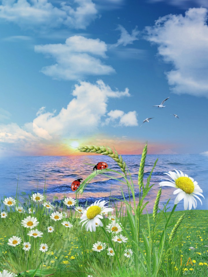 happy day...