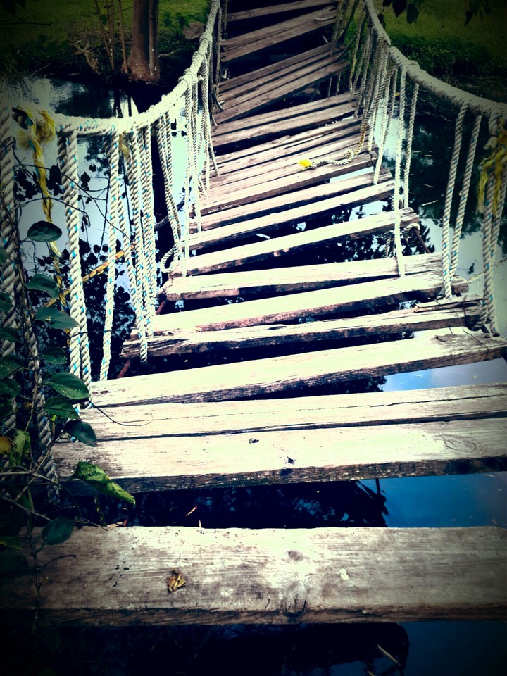 #photo #park