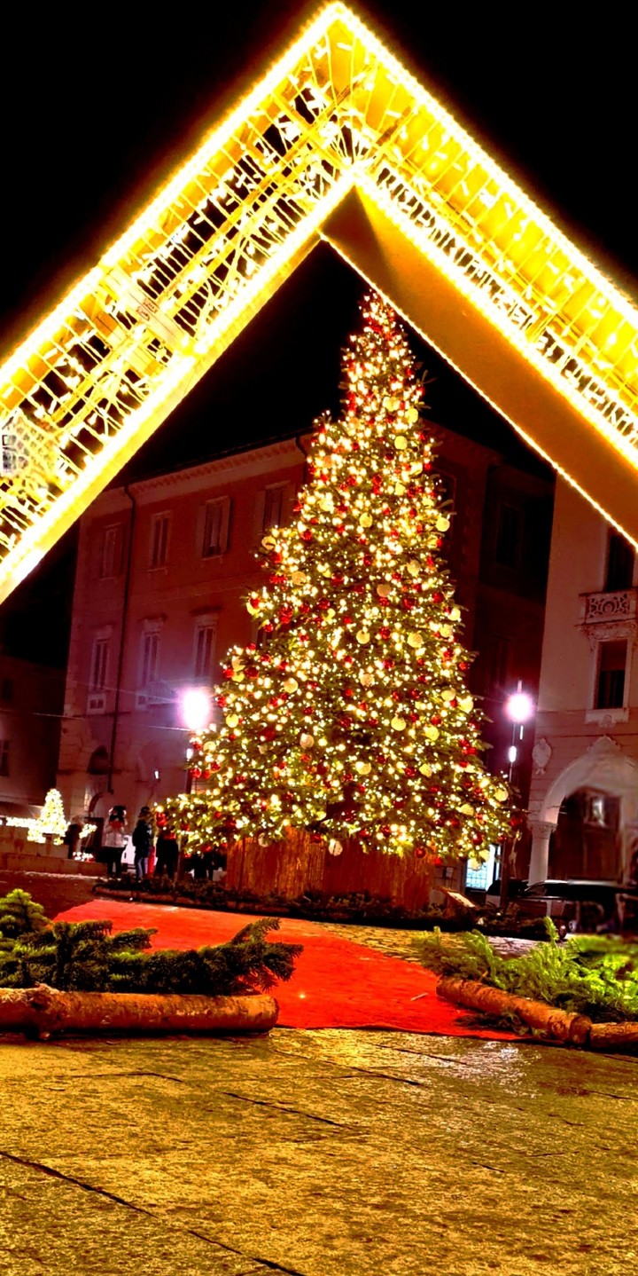 Christmas's tree