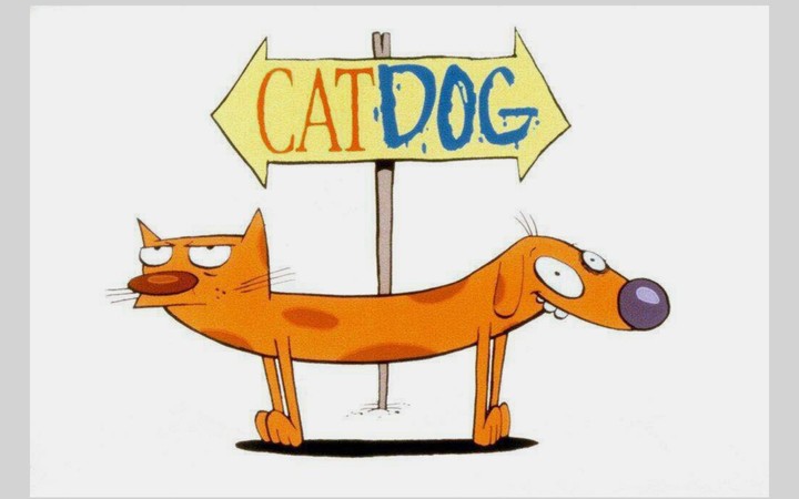 cat dog animation