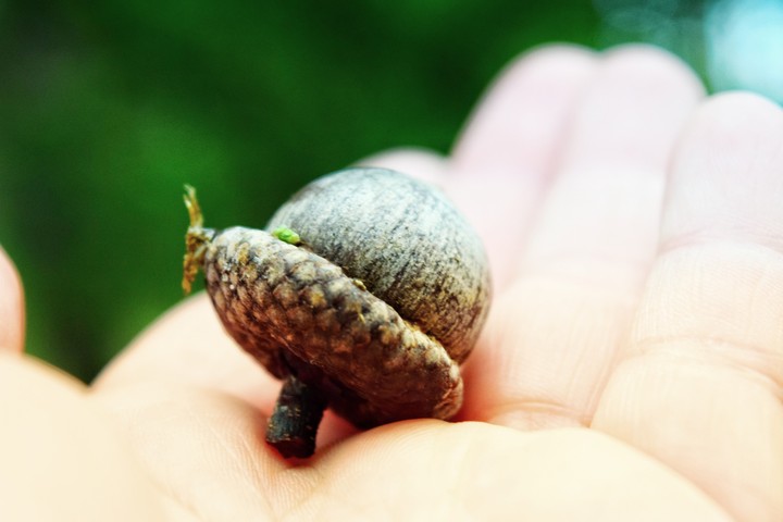 Little one....