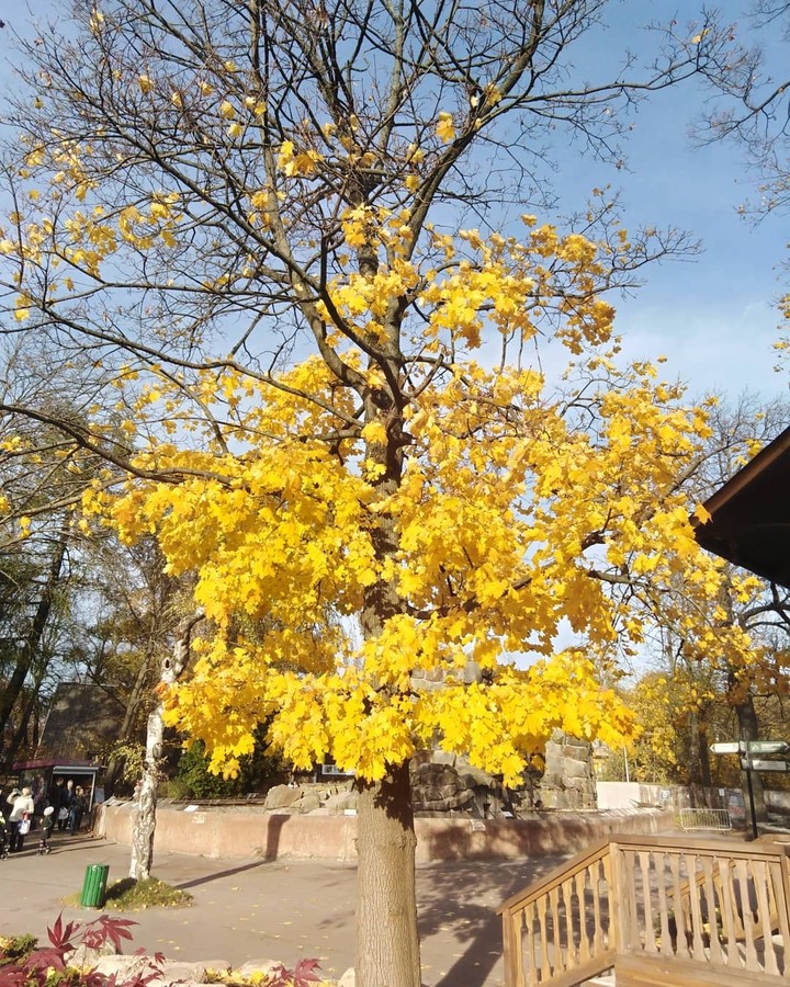 Осень