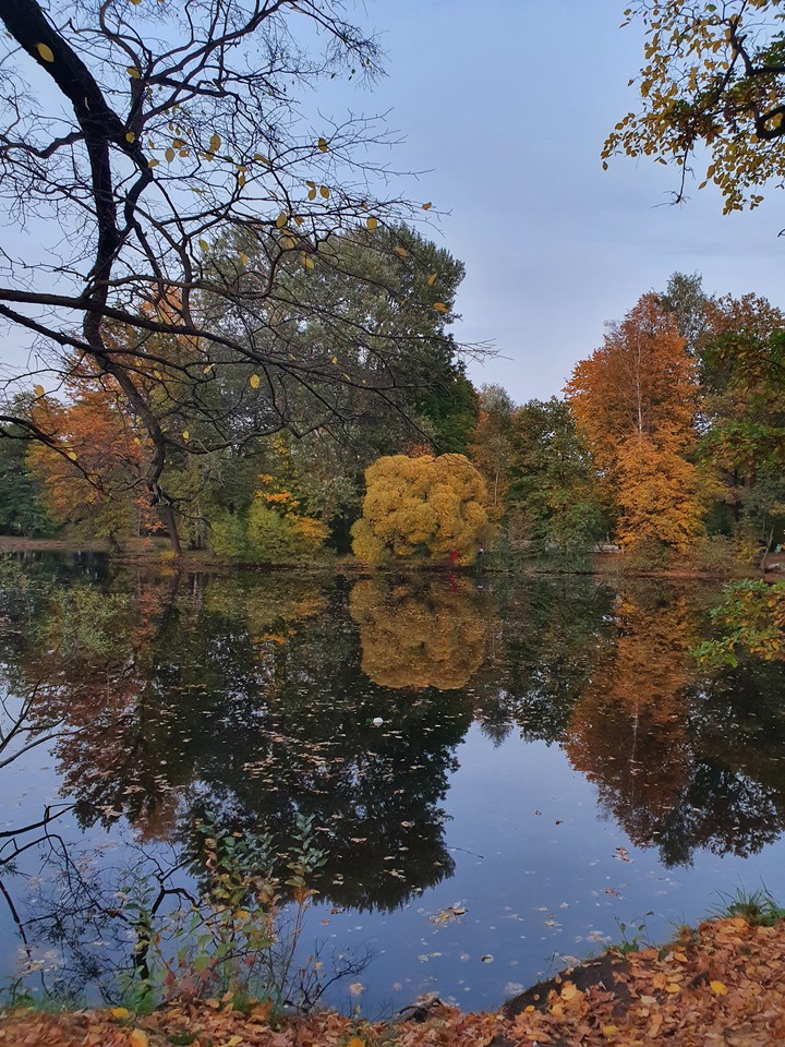 парк