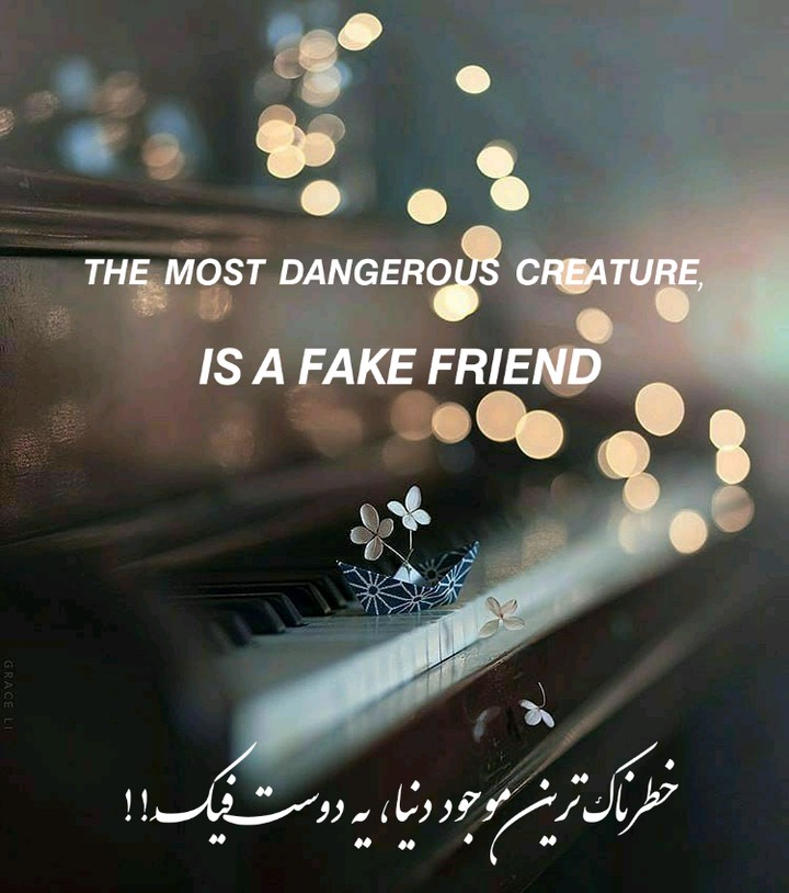 ،،
