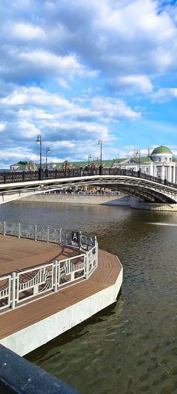Tretyakov Bridge