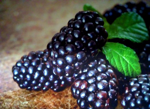 тапети berry, mulberry