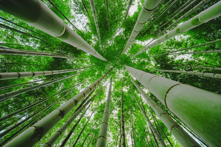greenery