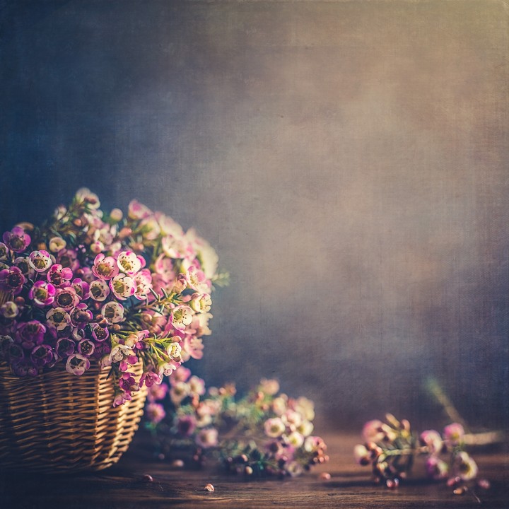 Flower Bucket