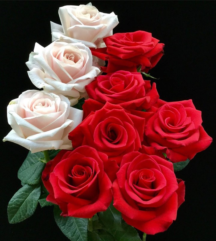 Happy Women's Day