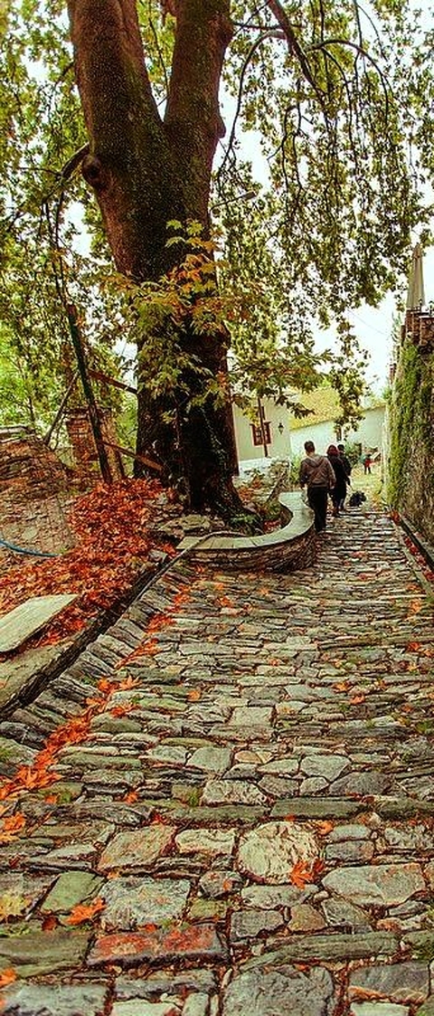 The colors of autumn (Northern Greece)