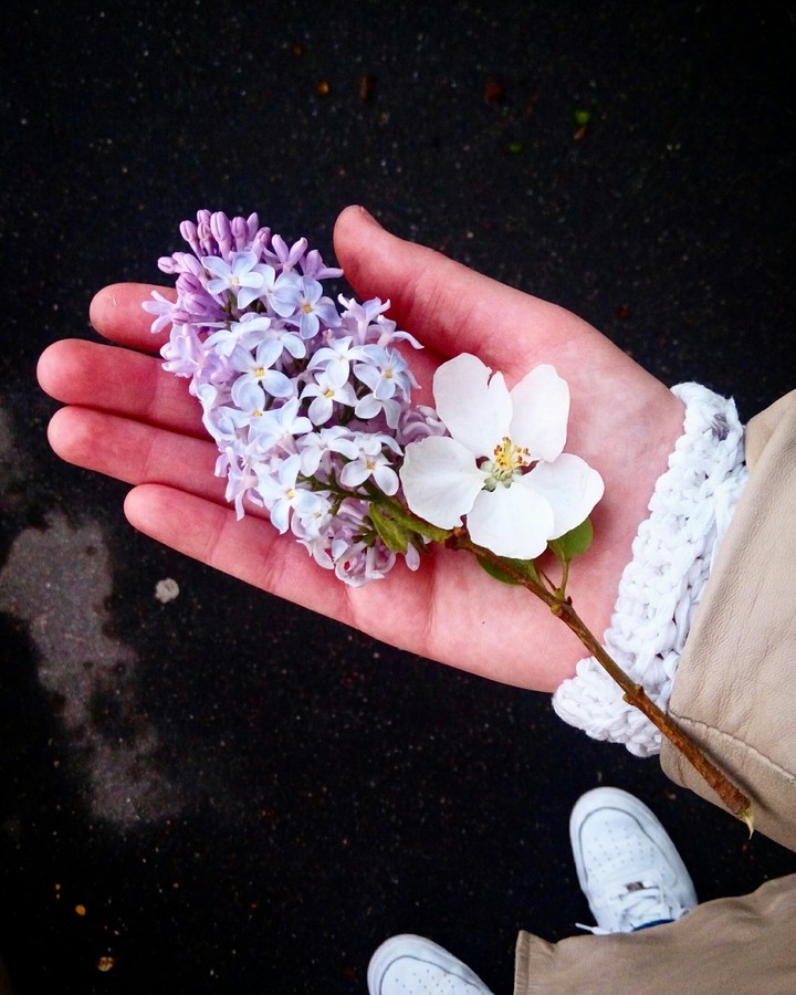 flowers on the hand