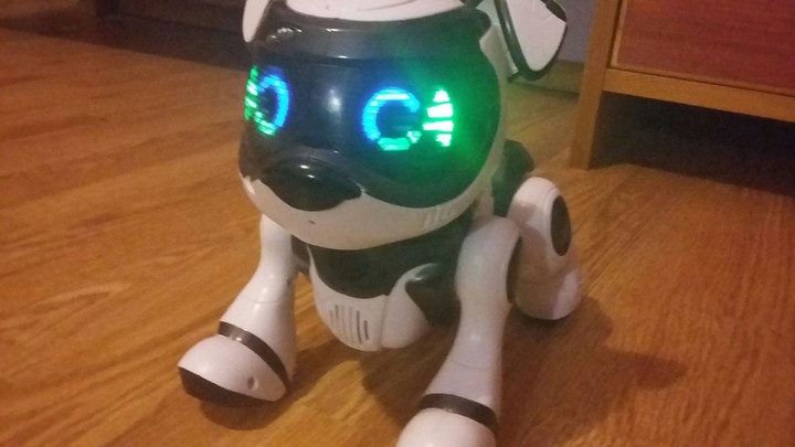 my robot dog/èn robot kutyám
