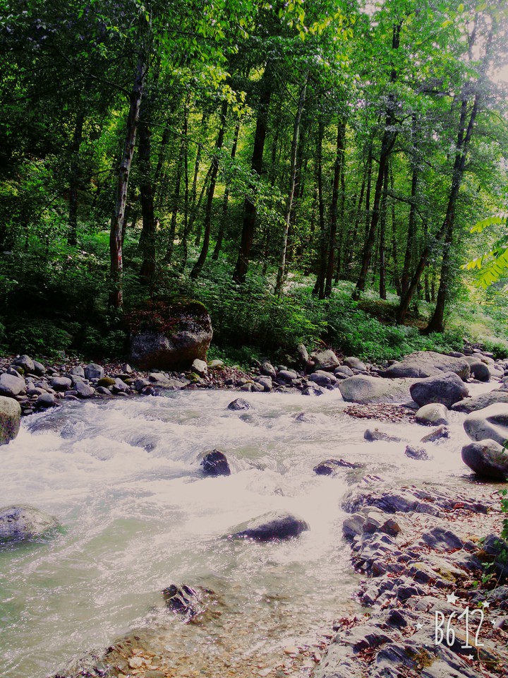 nature